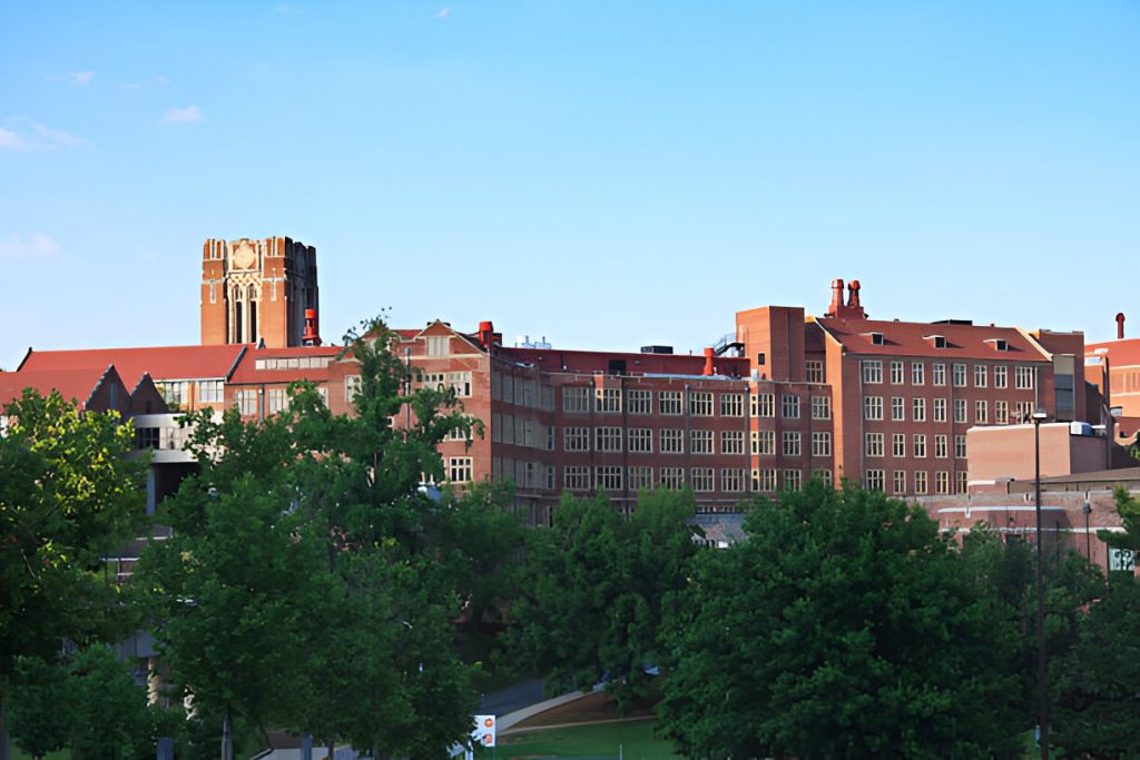 Study USA Consultant